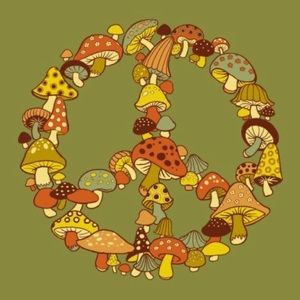 Meet your Posher, Kerry